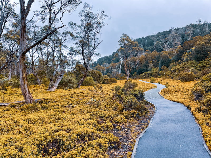 Best Cradle Mountain Walks