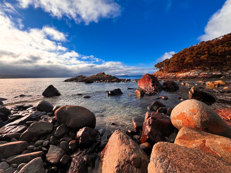 Best Bruny Island day trip itinerary: where to eat, explore & unwind ...
