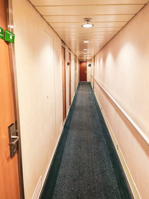 Melbourne to Tasmania ferry price: Is it cheaper to fly or drive to