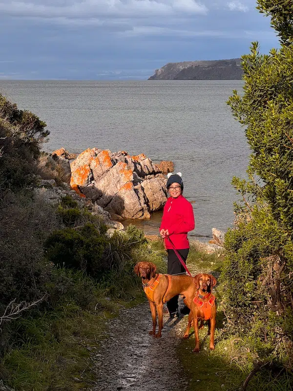 Unmissable Boat Harbour Beach Tasmania Guide: Breathtaking Views, Local Tips & Coastal Stays 5 are dogs allowed on Boat Harbour Beach?