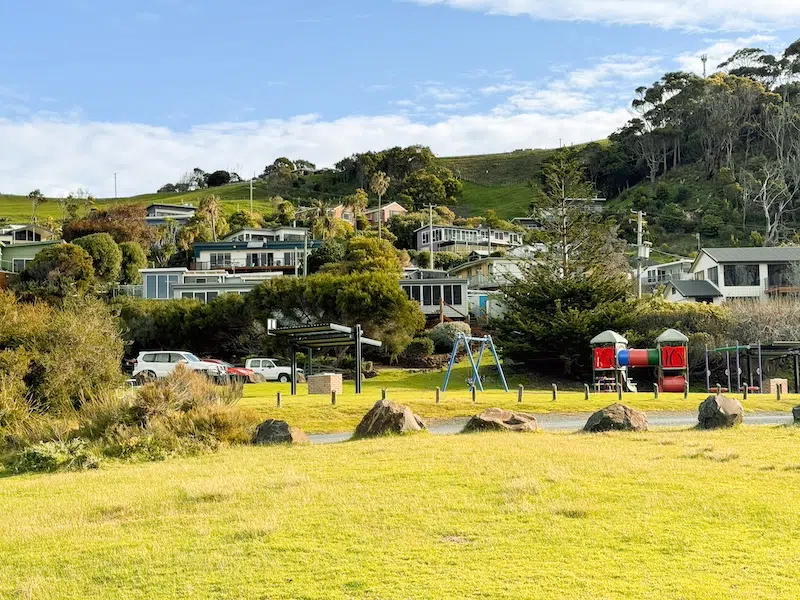 Unmissable Boat Harbour Beach Tasmania Guide: Breathtaking Views, Local Tips & Coastal Stays 4 Is Boat Harbour Beach dog friendly?