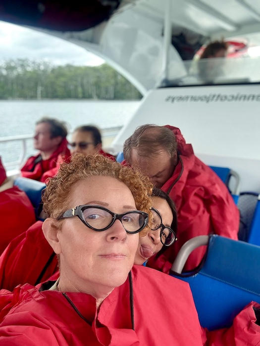 8 unique & unforgettable day trips from Hobart, Tasmania (2025 update) 12 3 hour Tasman Peninsula Wilderness Cruise