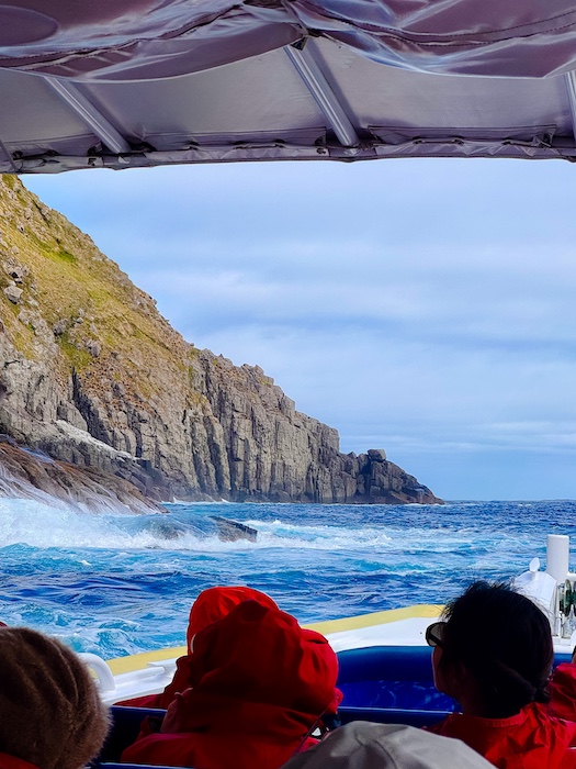 8 unique & unforgettable day trips from Hobart, Tasmania (2025 update) 13 Tasmania Cruise