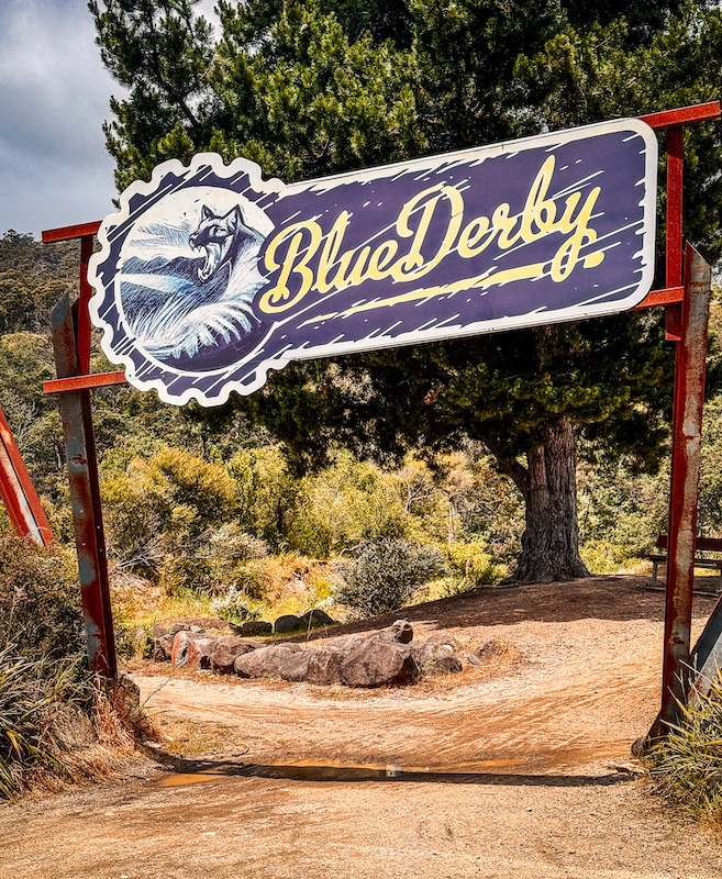 Launceston to St Helens Road Trip 2025: Fun, Food & Unexpected Finds 5 Blue Derby Mountain Bike trails