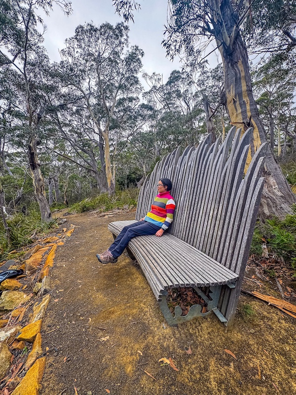 2025 Hobart to Port Arthur Tasmania Trip: Haunting History, Epic Cliffs & Wild Coastlines 14 Cape Raoul track