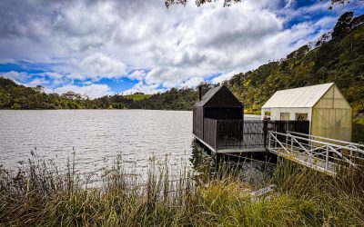 Launceston to St Helens Road Trip 2025: Fun, Food & Unexpected Finds