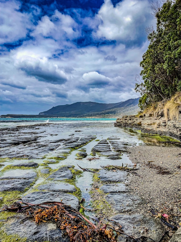 2025 Hobart to Port Arthur Tasmania Trip: Haunting History, Epic Cliffs & Wild Coastlines 3 Tessellated Pavement Tasmania
