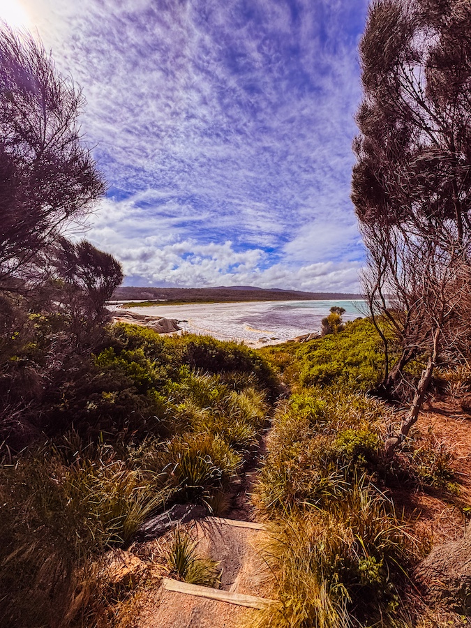 Bay of Fires Short walks