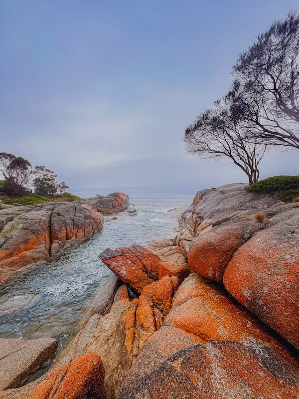 Bay of Fires Travel guide