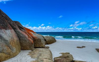 Add this wild Tasmania Bay of Fires Walk to your 2025 travel calendar