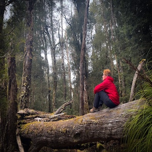 Tasmania Travel Information - our latest, greatest adventures 4 Walks and Hikes Tasmania