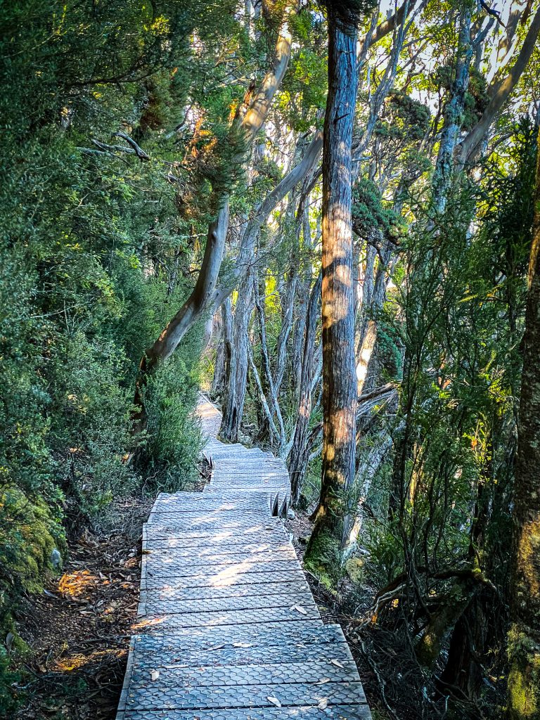 Hobart to Cradle Mountain 2025: Essential Guide to Driving, Tours & Scenic Stops 5 Hobart to Cradle Mountain Day trip