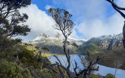 Hobart to Cradle Mountain 2025: Essential Guide to Driving, Tours & Scenic Stops