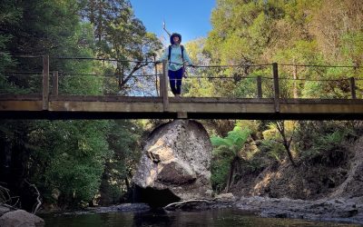 Top 10 Best Tasmania Short Walks (that beat the official list)