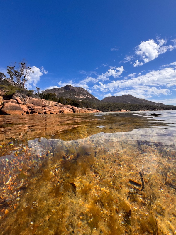 Launceston to Freycinet Launceston to Freycinet
