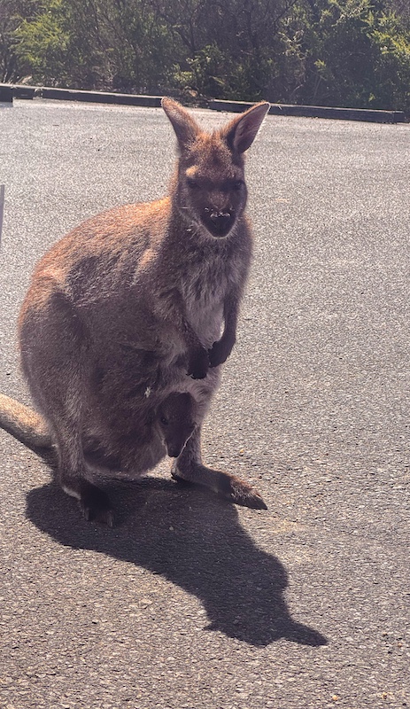 Things to do at Freycinet Things to do at Freycinet