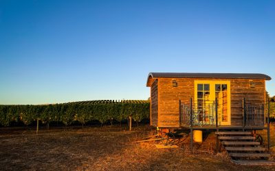 Wineries in Tasmania with Accommodation – 6 Vineyard Stays You’ll Love