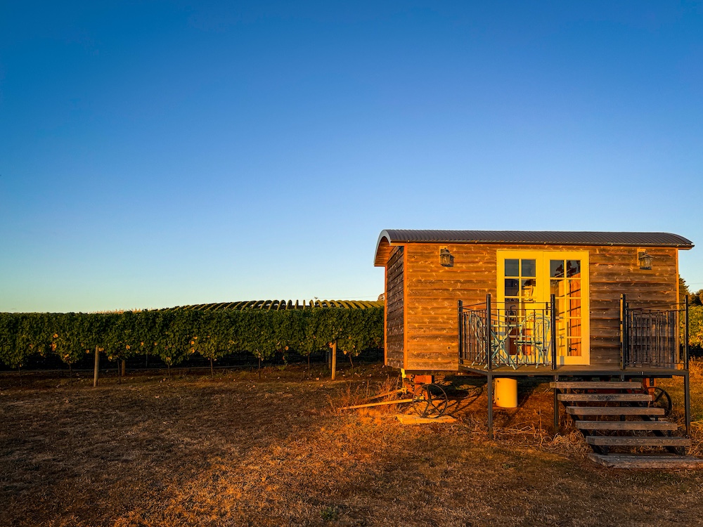 wineries in Tasmania with accommodation
