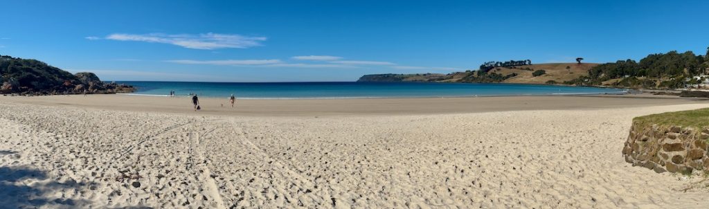 12 Best Beaches in Tasmania: The Insider's Guide 6 Tasmanian Beaches