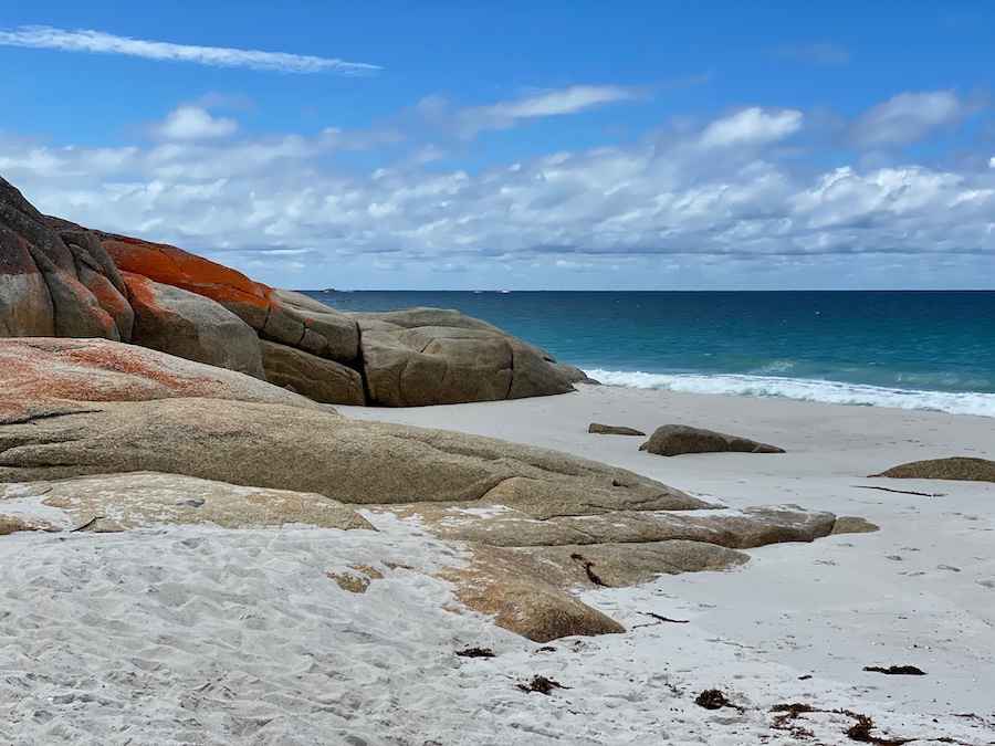 12 Best Beaches in Tasmania: The Insider's Guide 2 Tasmanian Beaches