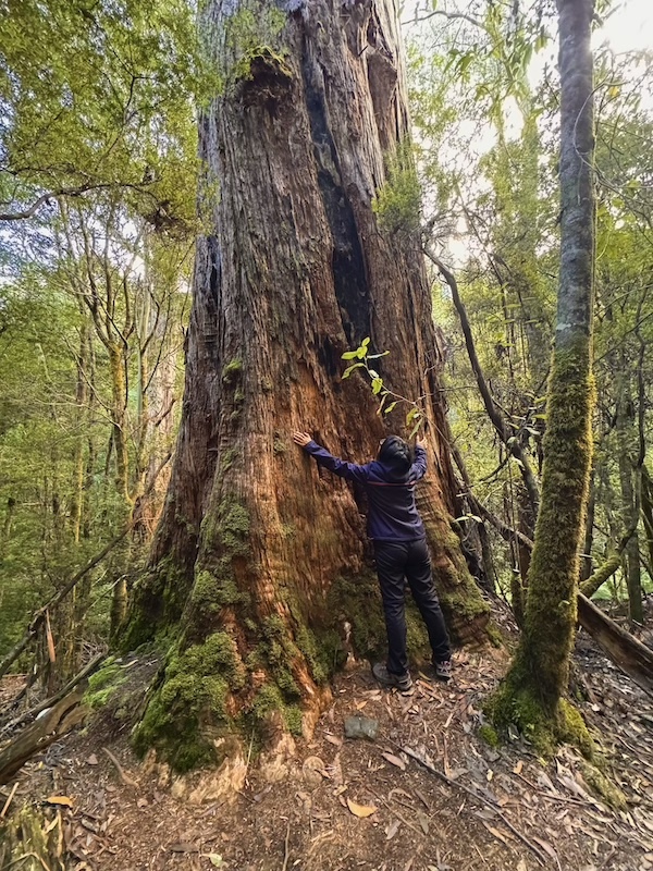 8 Small Group Tours from Hobart You’ll Wish You Booked Sooner 2 Eco Tours from Hobart