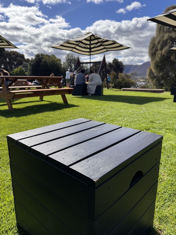 MONA Hobart: Weird, Whacky and Unmissable (2026) 8 MONA Ferry 1