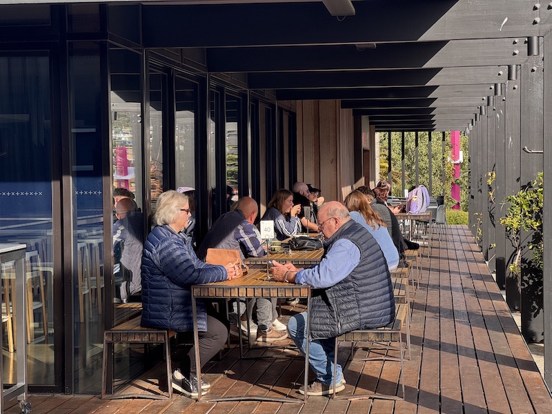 MONA Hobart: Weird, Whacky and Unmissable (2026) 7 Morilla Estate Winery 1