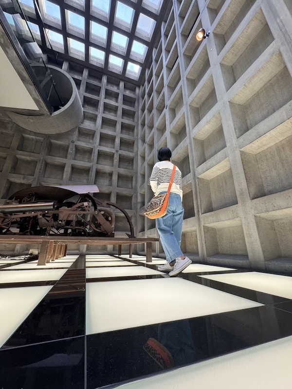 MONA Hobart: Weird, Whacky and Unmissable (2026) 3 MONA Tasmania