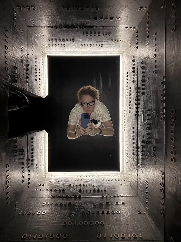 MONA Hobart: Weird, Whacky and Unmissable (2026) 5 Museum of Old and New Art