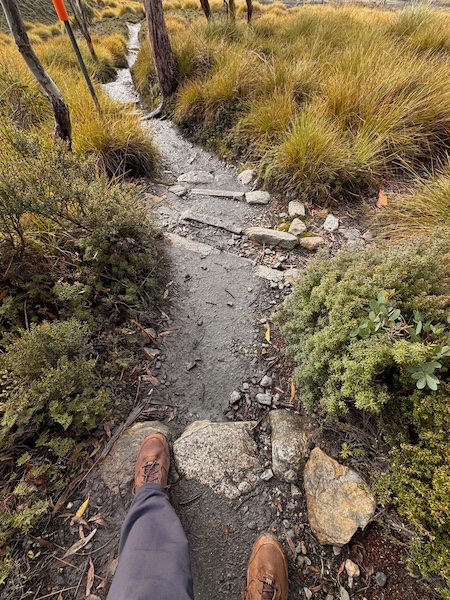 The Unforgettable Overland Track Tasmania: An Easy Planning Guide (2026) 4 Cradle Mt Overland Track