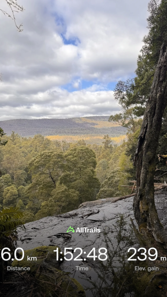 Mt Field National Park Tasmania 2026: Epic Russell Falls, Walks & How to Make the Most of Your Visit 3 Mount Field National Park Tasmania