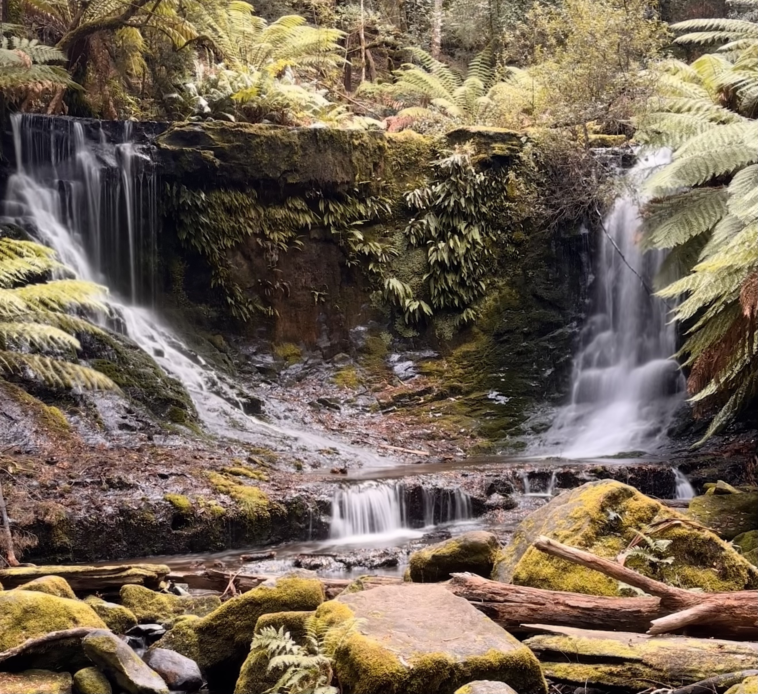 Mt Field National Park Tasmania feature Mt Field National Park Tasmania