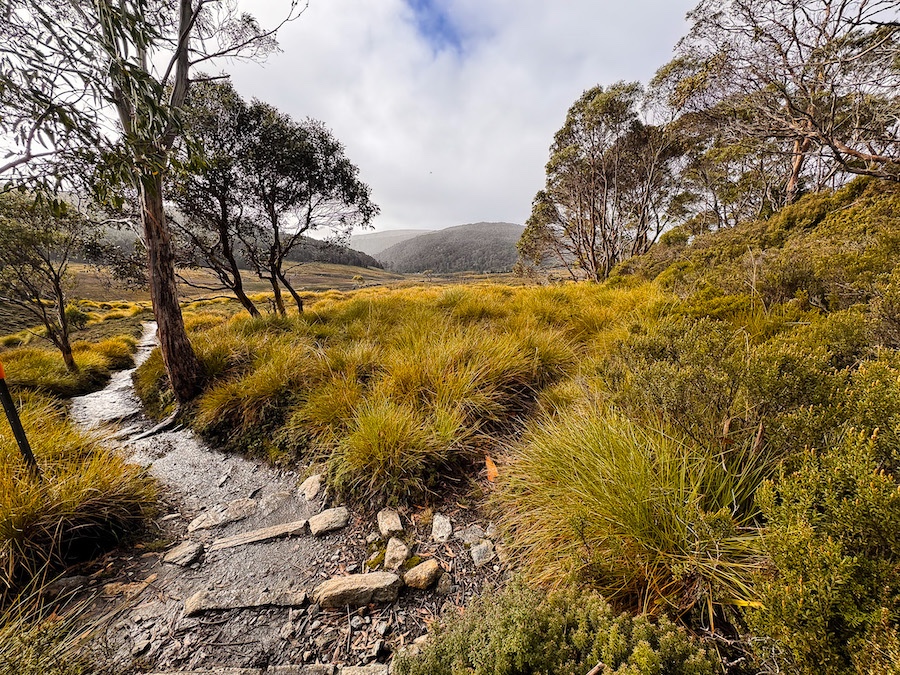 Overland Track Tasmania Hike Overland track tasmania hike
