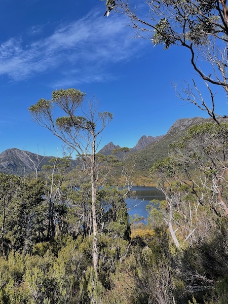 The Unforgettable Overland Track Tasmania: An Easy Planning Guide (2026) 5 Overland track