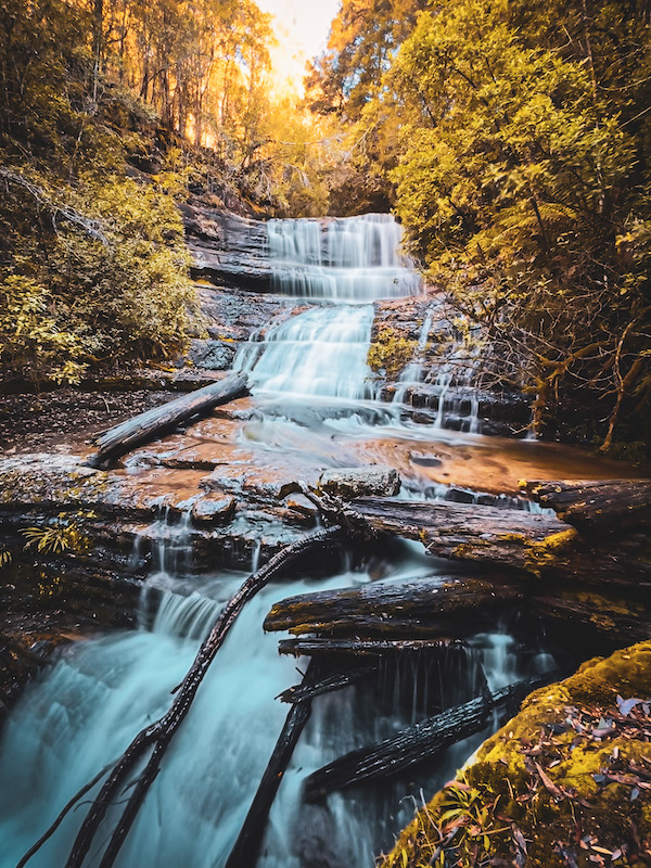 Mt Field National Park Tasmania 2026: Epic Russell Falls, Walks & How to Make the Most of Your Visit 1 Mt Field National Park walks Tasmania — rainforest and swamp gums