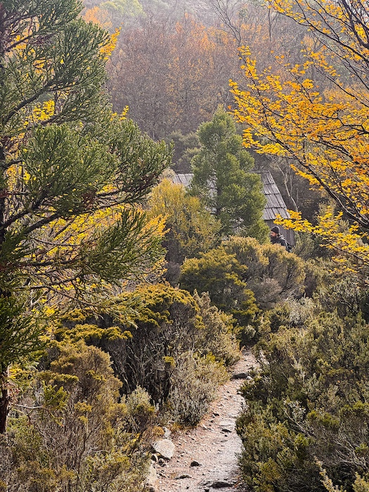 The Unforgettable Overland Track Tasmania: An Easy Planning Guide (2026) 2 overland track tasmania guide — walking trails Cradle Mountain