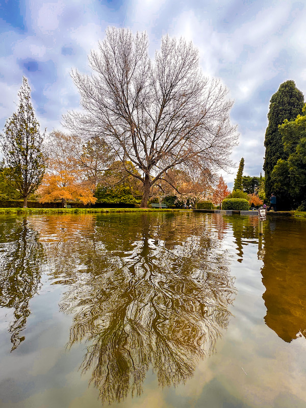 Mt Field National Park Tasmania 2026: Epic Russell Falls, Walks & How to Make the Most of Your Visit 6 Salmon Ponds Derwent Valley Tasmania — Australia’s oldest trout hatchery near Mt Field National Park
